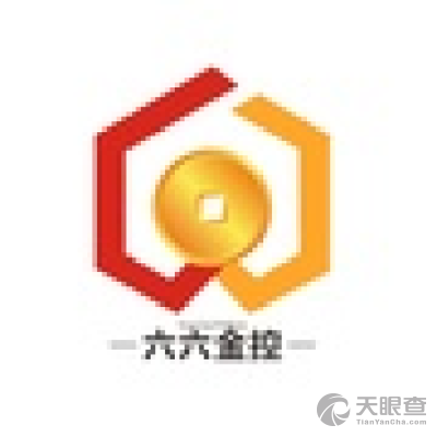 深圳市六六金投資控股 洞見資本力量，賦能產業未來